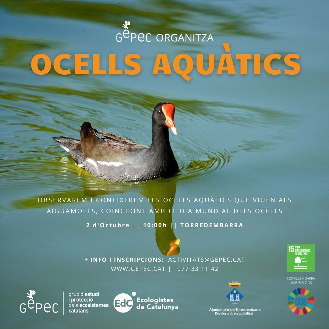 ocells aquatics 2022