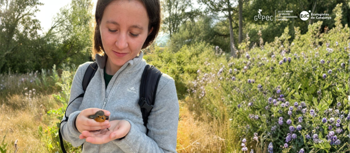 Garantia Juvenil 2026 (1)