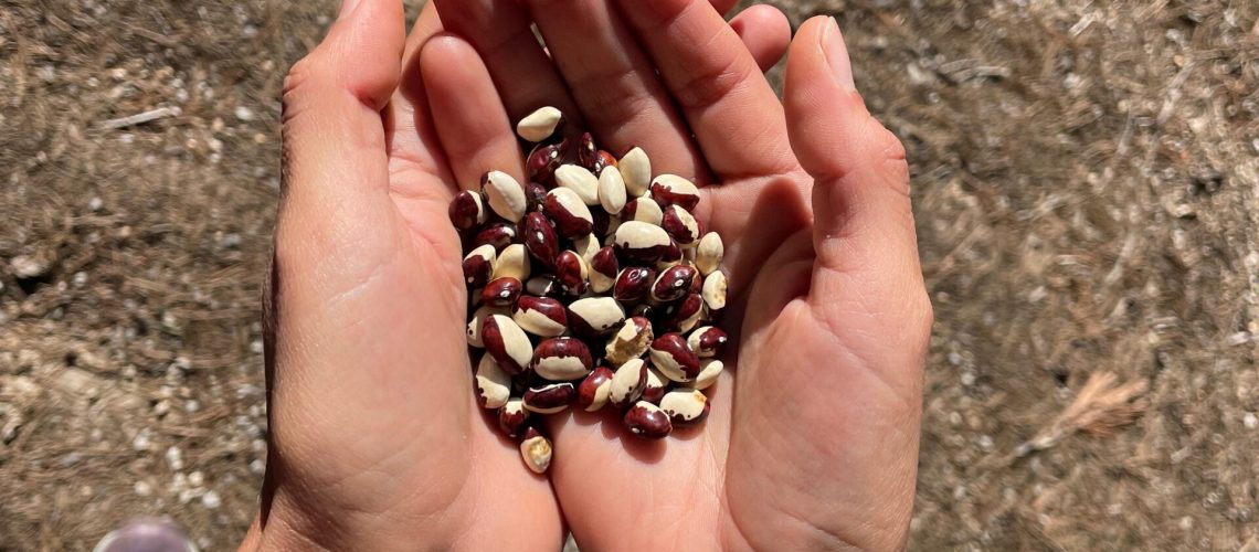 WhatsApp Image 2025-11-27 at 12.25.19