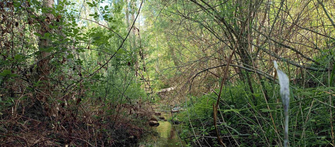 WhatsApp Image 2026-02-23 at 13.28.06