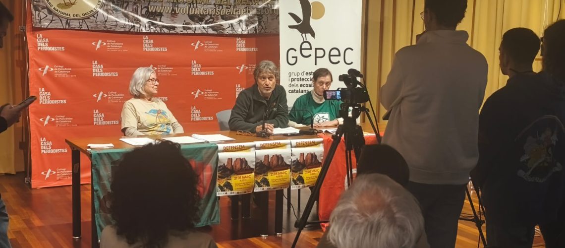 WhatsApp Image 2026-03-18 at 10.51.22